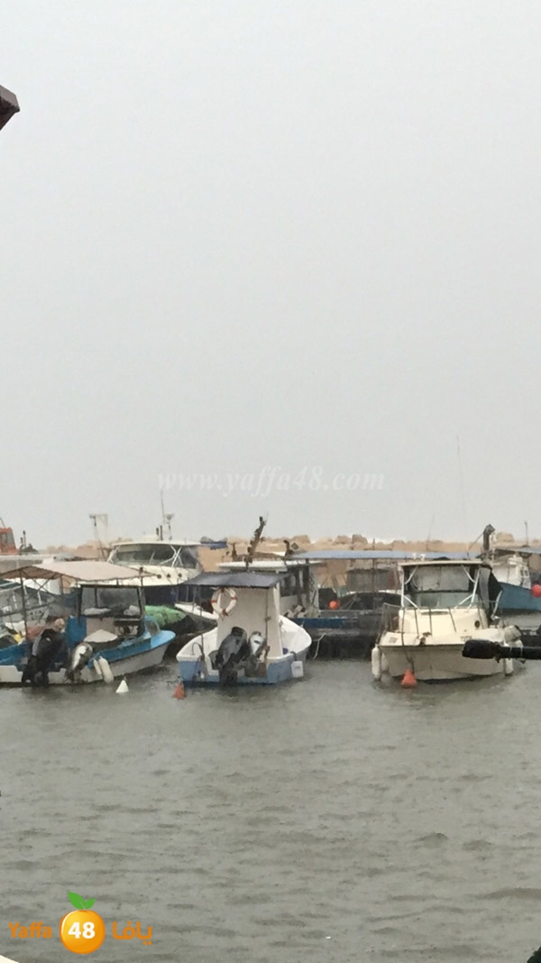 yaffa sea ba7r 3asefa (3).JPG